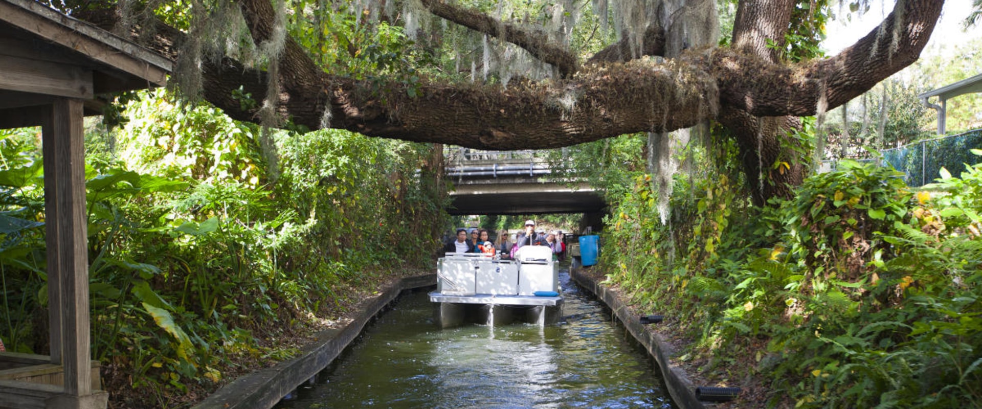 Uncovering the Vibrant Outdoor Community Events in Central Florida