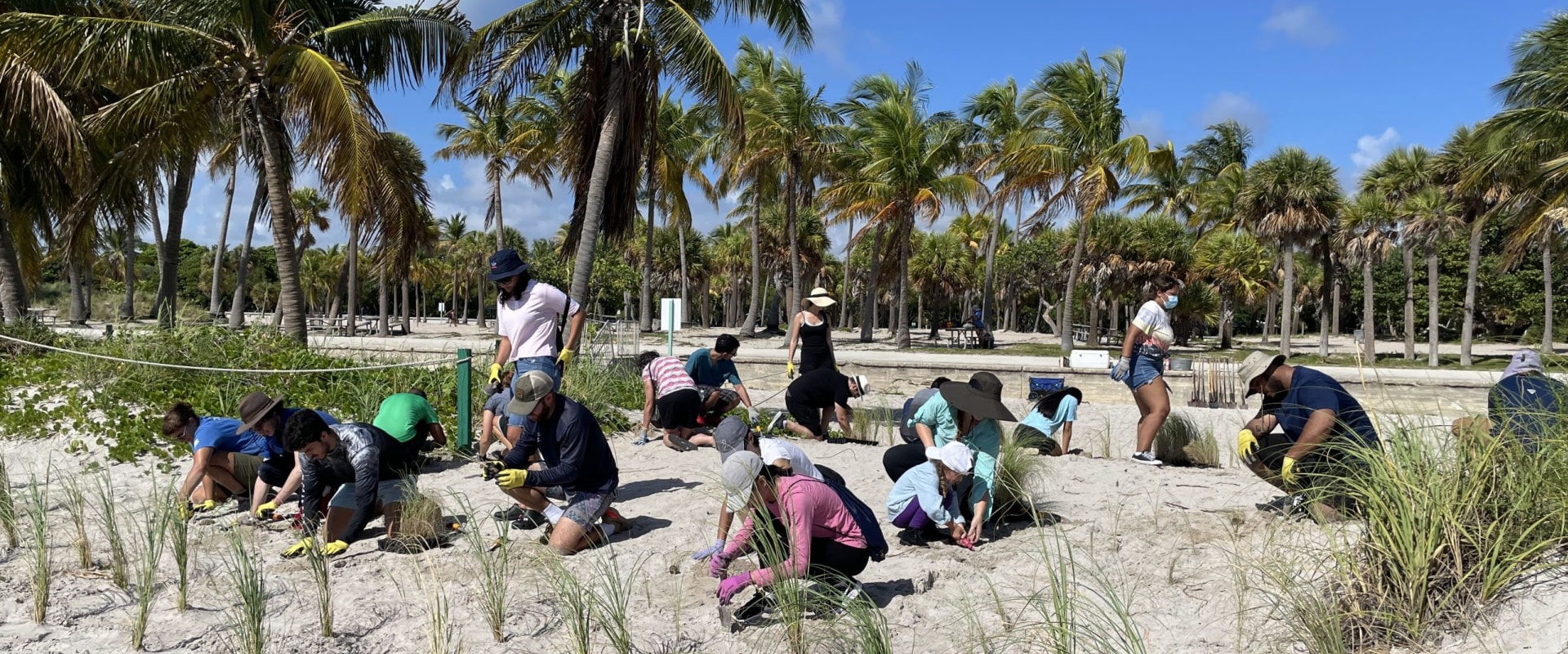 How Volunteer-Driven Events Keep Central Florida Communities Connected