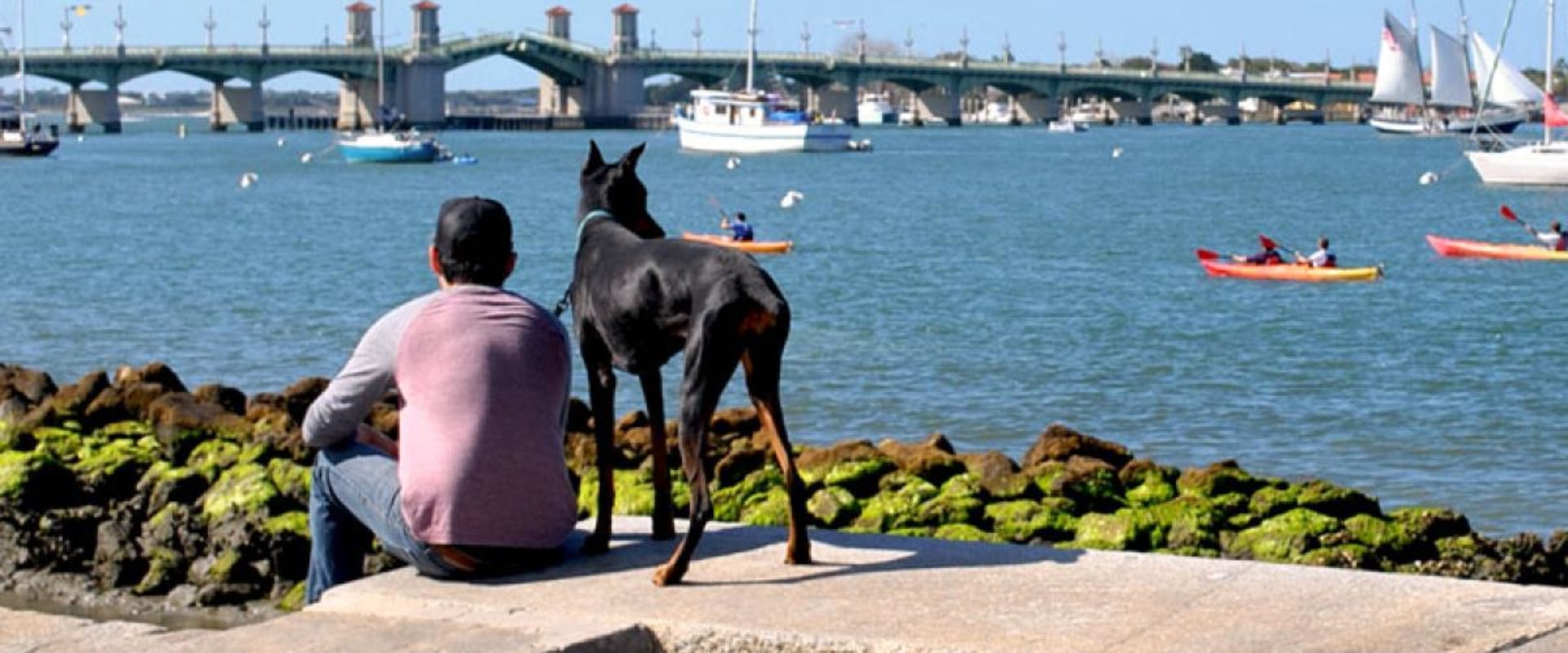 Exploring Pet-Friendly Community Events in Central Florida: A Guide for Pet Lovers