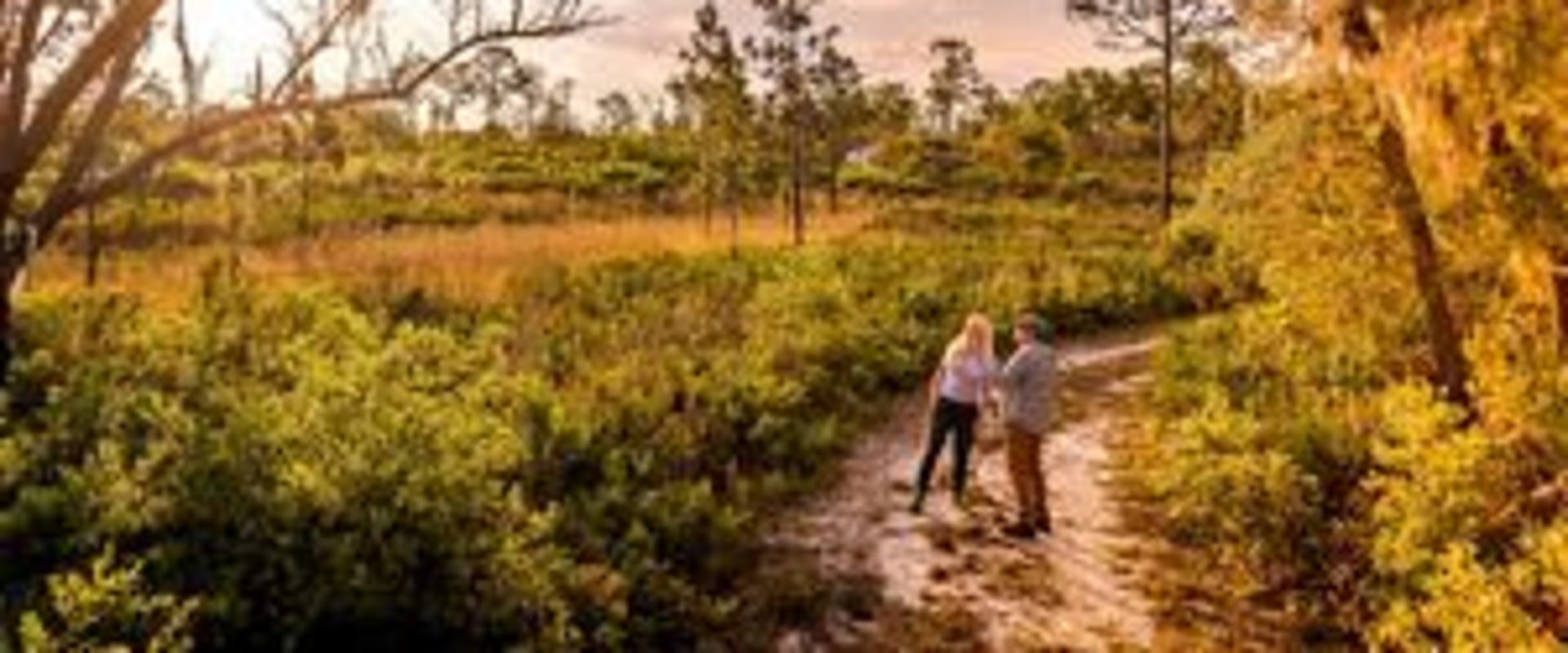 The Virtual Community Experience in Central Florida