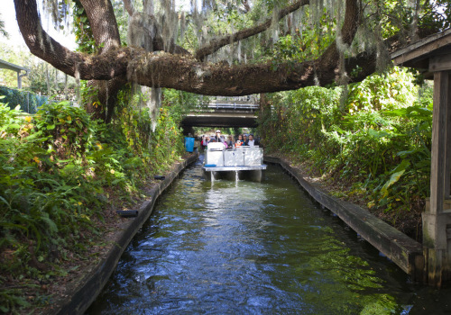 Uncovering the Vibrant Outdoor Community Events in Central Florida