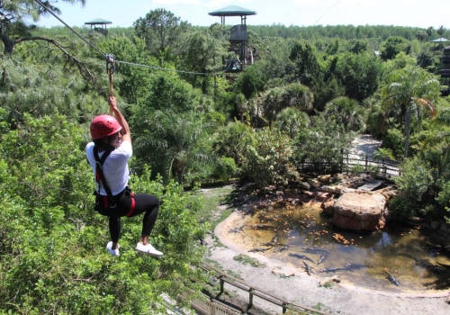 Discovering the Vibrant Community Events in Central Florida