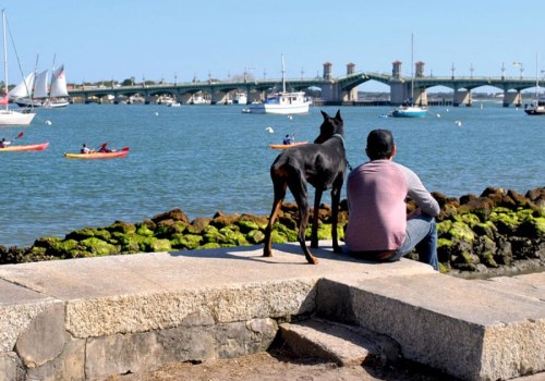 Exploring Pet-Friendly Community Events in Central Florida: A Guide for Pet Lovers