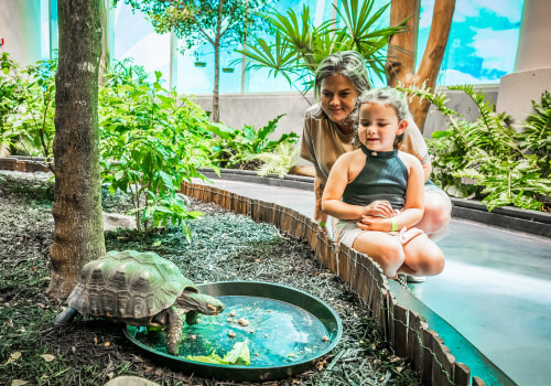 The Enriching World of Community Events in Central Florida