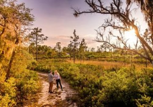 The Virtual Community Experience in Central Florida
